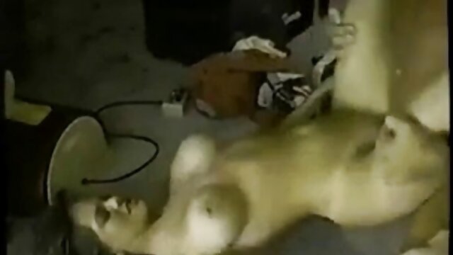 Mon amie et moi avons baisé ma soeur chaude et son amie d'université porno streaming gratuit films francais