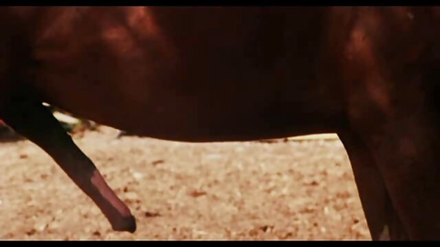 Spermswap Slender Babes Bree voir porno français Haze et Athina reçoivent un anal